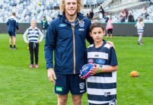 Cats bring paws for thought