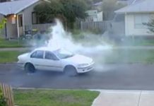 Police hunt Norlane hoon on security video