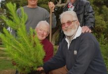 Gallipoli Lone Pine descendant ’ripped up’ from Torquay commemorative garden