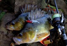 Weather key to coming catches