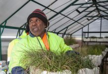 Indigenous reserve plan to create jobs for Aborigines around Geelong