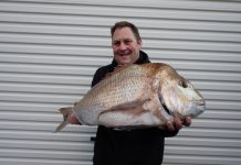 Snapper loving the big chill