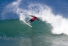 Surf’s up on the coast