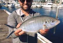 Catches for the few and the brave