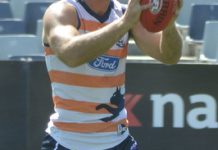 Hawkins returns as Dogs chase Cats up the ladder