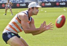 Cats face another losing streak