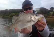 Plenty of whiting on offer