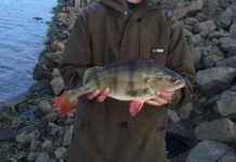 Harbour shields anglers from elements