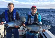 Plenty of catches as schools swim in