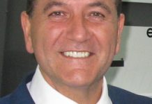 Koala call heard at state, council