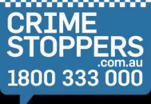 Dobber tips lead to druggie busts