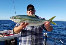 Fresh wave of salmon