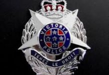 Police arrest pair over ‘theft series’