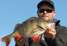 The wind’s up and lines down