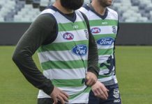 Cats expect an easy run