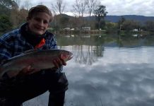 Snapping up shoal of snappers