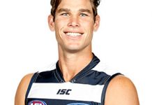 Cats set for a scrap