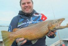 Anglers revel in ideal conditions