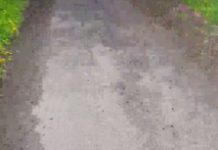 Mum videos jogger clash