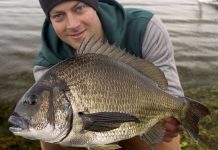 Anglers feast on snapper