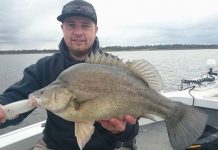 Anglers spread their tentacles for squid