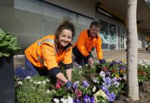 Splash of spring colour