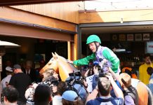 This Cat’s horsin’ around