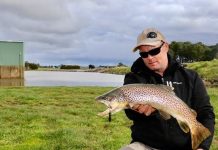 Snapping up the softer lure