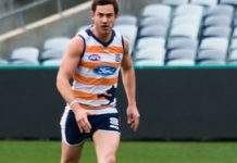 Knee-reco veteran Menzel re-signs with Cats after 2016 comeback success