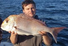 Snapping up some snapper