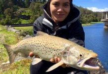 Snapper are being snapped up