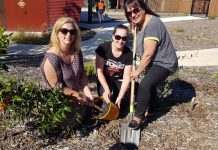 Hub set to grow into food forest