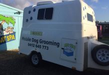 Dog scrubber hoses down wash trailer thieves