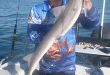 Plenty of variety at Clifton Springs