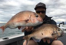 Out of the wind for pinkies