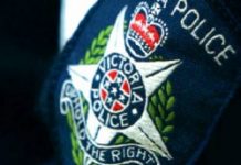 Charges over fatal hit-run