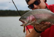 Whiting aplenty in settled weather