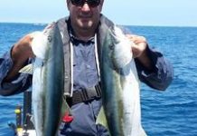 Plenty of flathead and kingfish offshore and in the bay