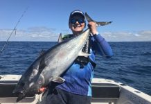 Kingfish action to fore