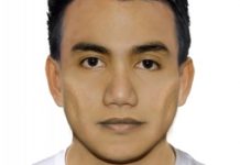 Brawlers in their sights