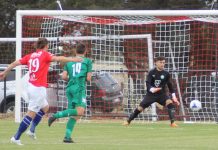 Warriors go down fighting Bentleigh