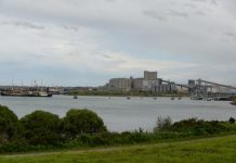 Geelong registers record grain exports