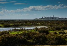 Coast protected in new plan