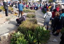 Fight is on to save library