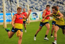 Giant task for the Cats