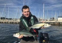 Wide and varied catch