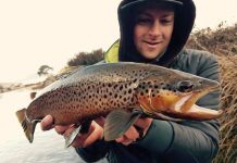 Good wind from the north