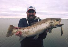 Plastics fantastic along Geelong’s waterfront