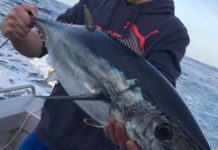 Strong winds impact fishing