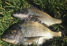 Yacht club a hot spot